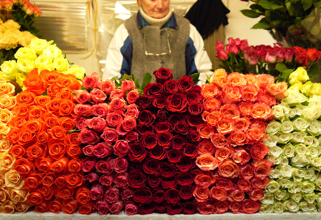 Купить розы во владимире. Много букетов. Много букетов цветов. Свежесрезанные цветы. Много роз букет.